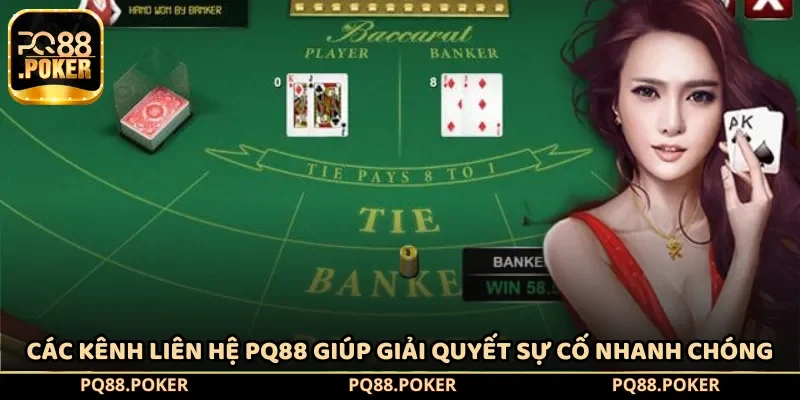 Các kênh liên hệ PQ88 giúp giải quyết sự cố nhanh chóng