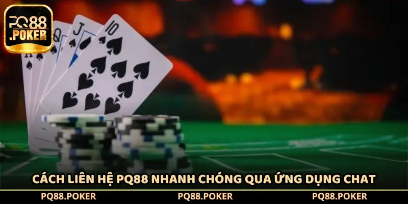 Cách liên hệ PQ88 nhanh chóng qua ứng dụng chat
